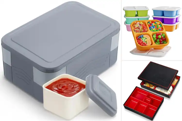 Detailed view of Best 6 Compartment Bento Boxes