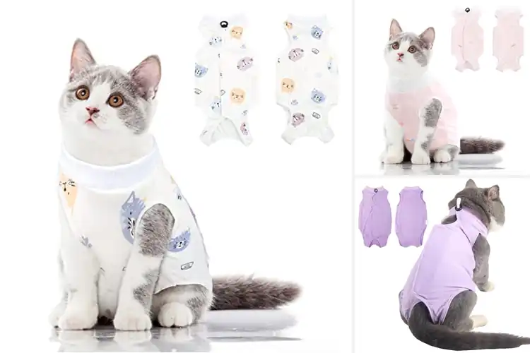 Detailed view of Best Abdominal Wound Cat Protector