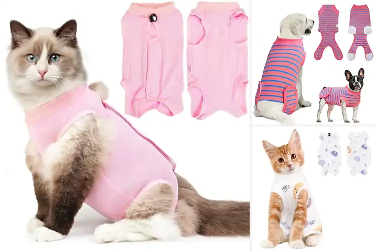 Detailed view of Best Abdominal Wound Cat Shirt