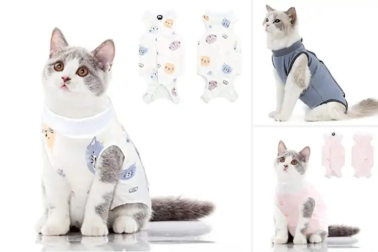 Detailed view of Best Abdominal Wound Protectors For Cats
