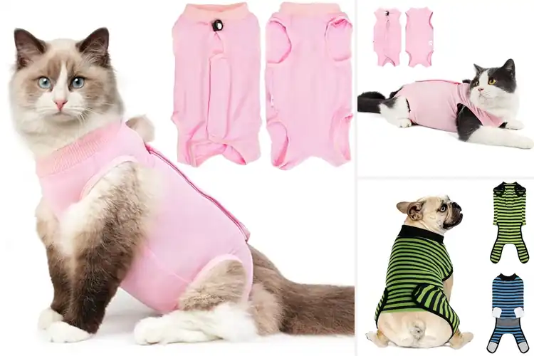 Detailed view of Best Abdominal Wound Suits