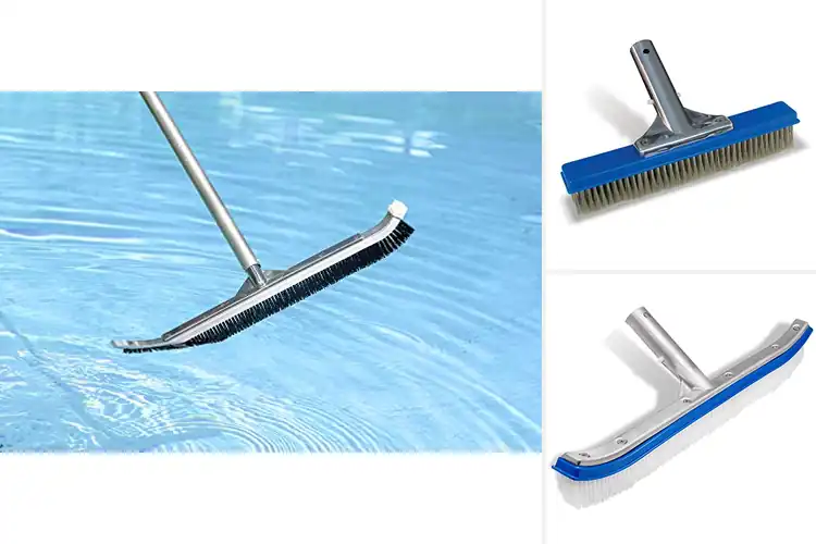 Detailed view of Best Aluminum-Back Brushes