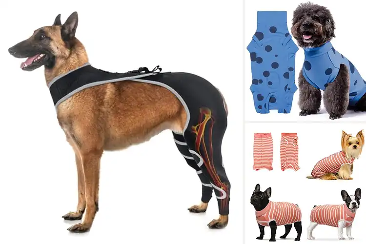 Detailed view of Best Anti-Lick Recovery Apparel