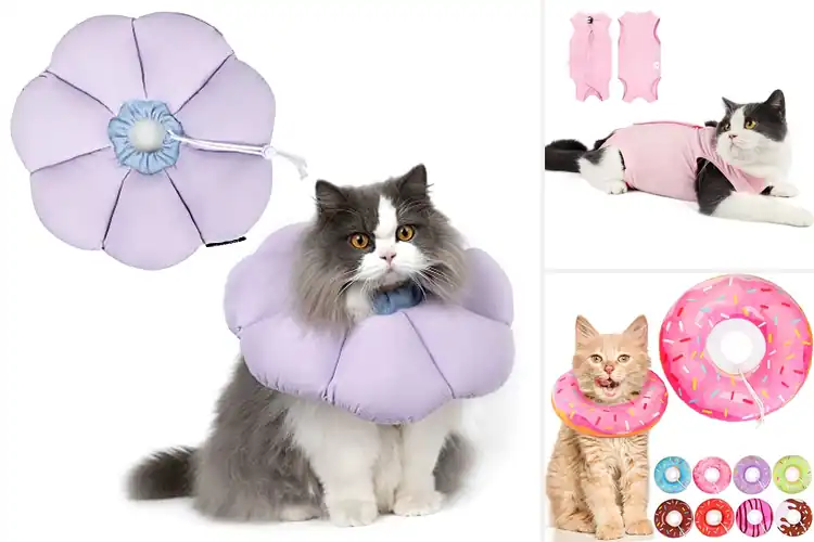 Detailed view of Best Anti Licking Cat E-Collar Alternative