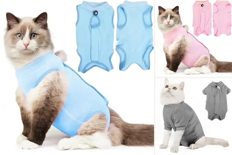 Detailed view of Best Anti Licking Cat Recovery Shirts