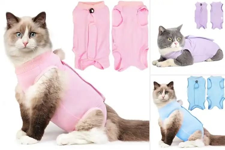 Detailed view of Best Anti Licking Cat Recovery Suits