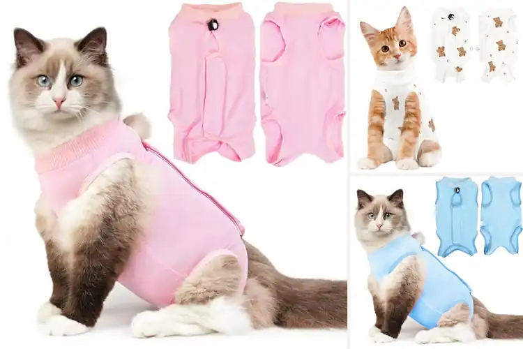 Detailed view of Best Anti Licking Cat Recovery Wear