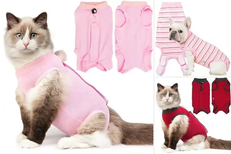 Detailed view of Best Anti-Licking Garments: Top 10 Pet Recovery Solutions