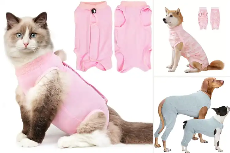 Detailed view of Best Anti-Licking Recovery Garments