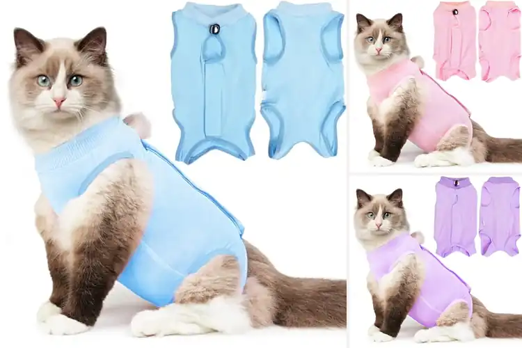 Detailed view of Best Anti-Licking Shirts For Cats: Top 10 Healing Solutions