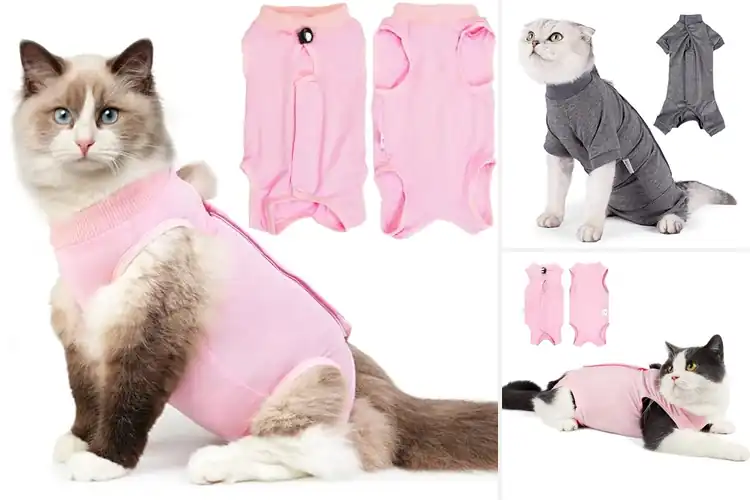 Detailed view of Best Anti-Licking Suits For Cats: Top 10 Recovery Solutions
