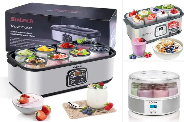 Detailed view of Best Automatic Yogurt Makers