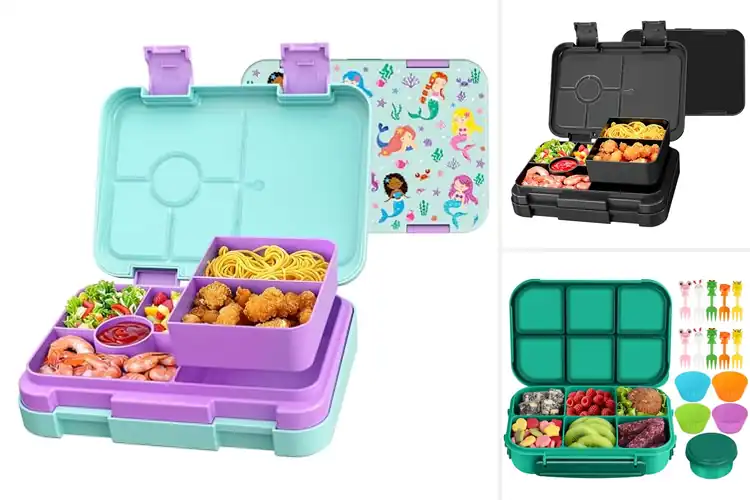 Detailed view of Best Bento Lunch Box With 6 Compartments