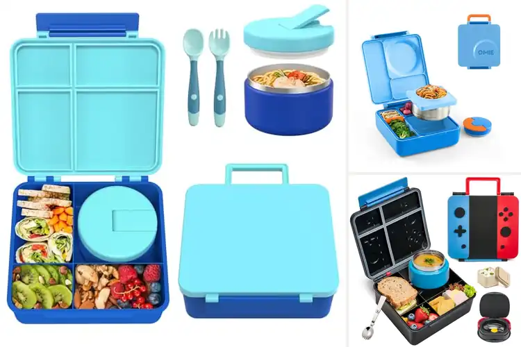 Detailed view of Best Bento Lunch Boxes For Kids