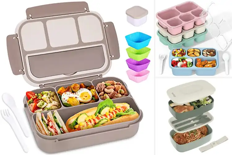 Detailed view of Best Bento Lunch Boxes: Fresh, Organized Meals On-the-Go