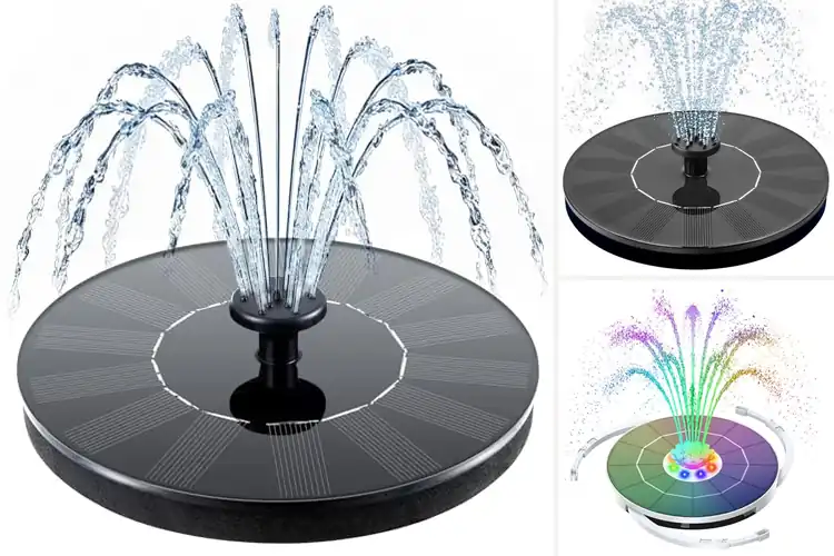 Detailed view of Best Bird Bath Fountains