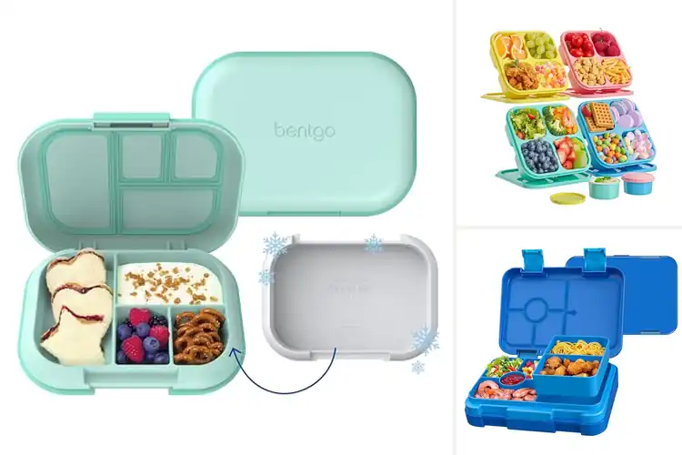 Detailed view of Best BPA Free Bento Box For Kids