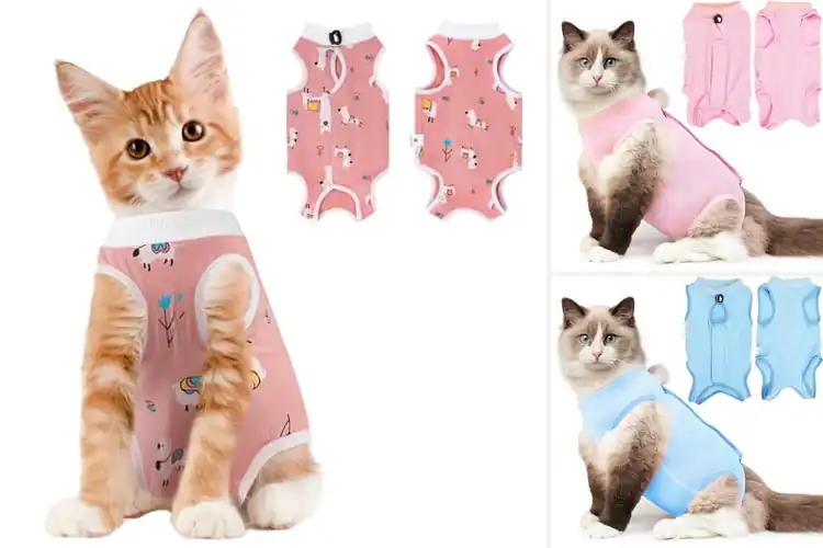 Detailed view of Best Breathable Cat Recovery Shirt