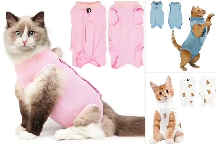 Detailed view of Best Breathable Cat Recovery Wear