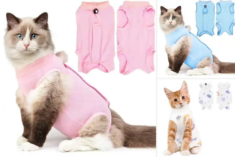 Detailed view of Best Breathable Cat Surgery Shirt