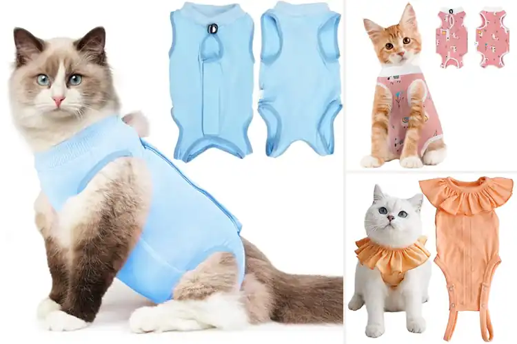 Detailed view of Best Breathable Cat Surgery Shirts: Comfort & Healing