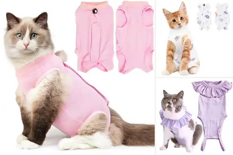 Detailed view of Best Breathable Cat Surgical Shirt