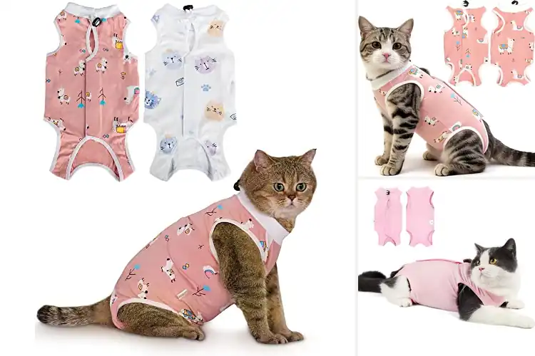 Detailed view of Best Breathable Fabric Cat Recovery