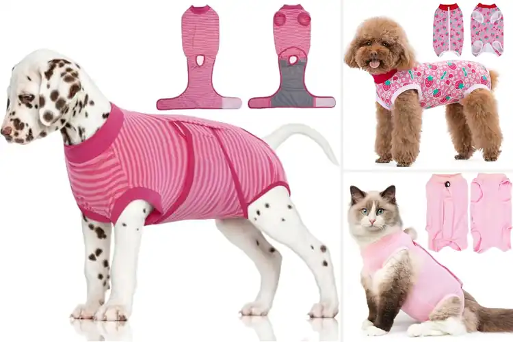 Detailed view of Best Breathable Pet Recovery Suits