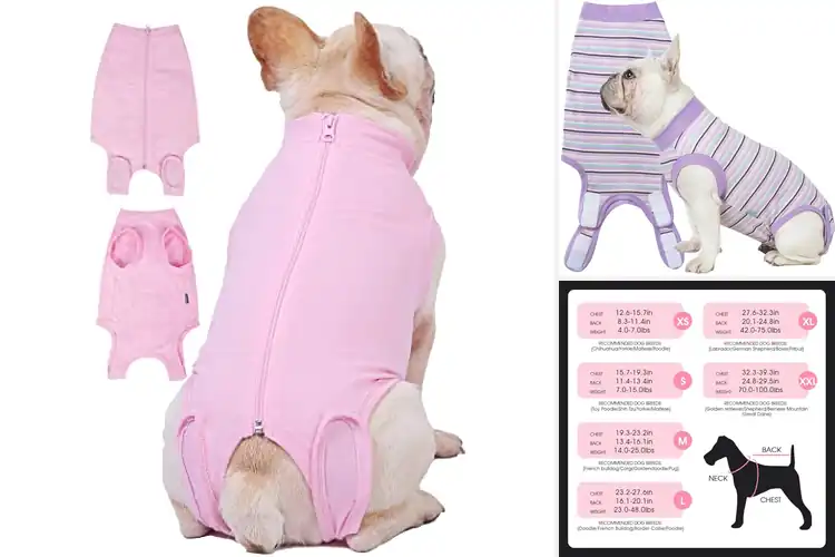 Detailed view of Best Breathable Surgical Spay Suits