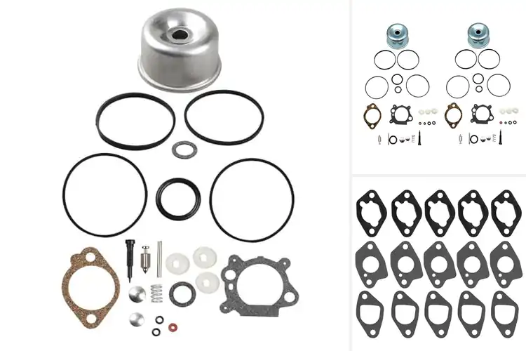 Detailed view of Best Carburetor Sealing Kits