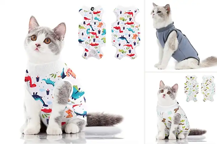 Detailed view of Best Cat Abdominal Wound Protectors