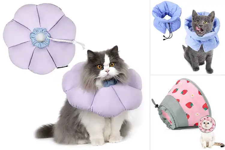 Detailed view of Best Cat E-Collar Alternatives