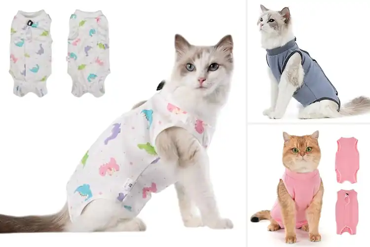 Detailed view of Best Cat Postoperative Recovery Wear