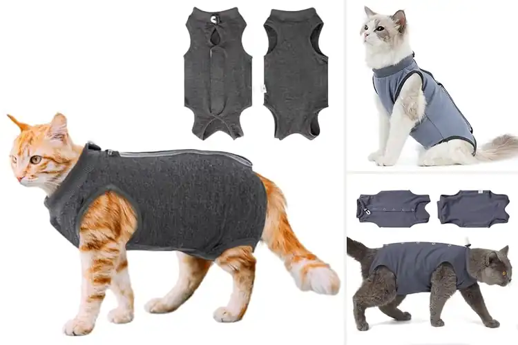 Detailed view of Best Cat Recovery Suit Grey Medium