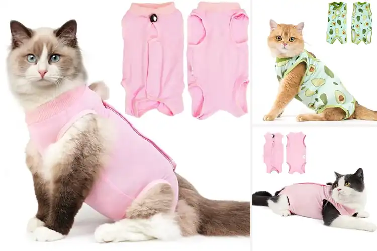 Detailed view of Best Cat Recovery Suit Medium