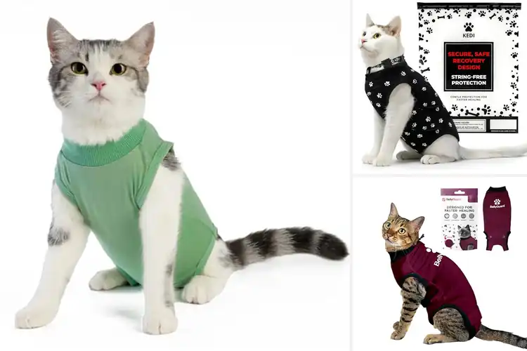 Detailed view of Best Cat Recovery Suit