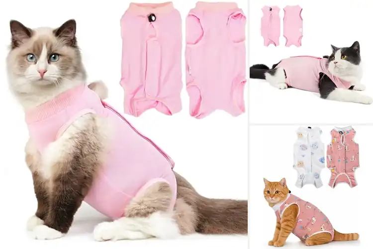 Detailed view of Best Cat Surgery Recovery Suits