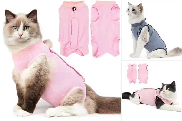 Detailed view of Best Cat Surgery Shirt