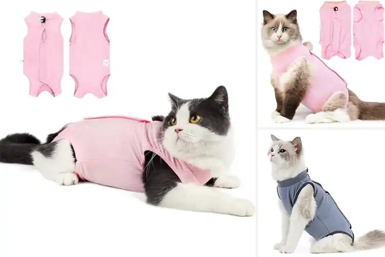 Detailed view of Best Cat Surgery Shirts