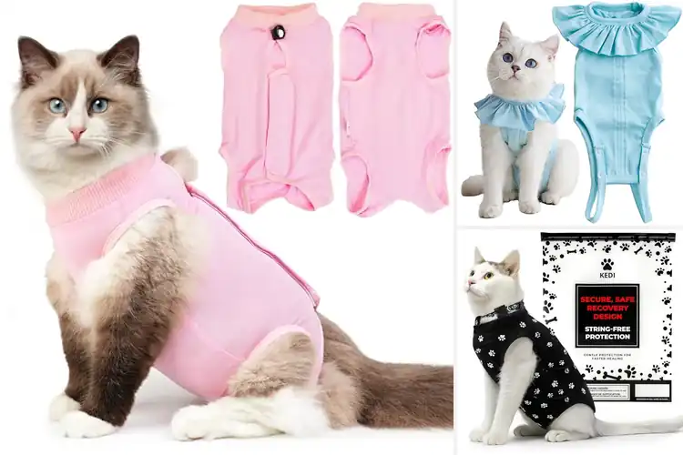Detailed view of Best Cat Surgical Shirt Size M