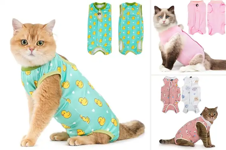 Detailed view of Best Cat Surgical Spay Suits: Top 10 for Comfort & Healing