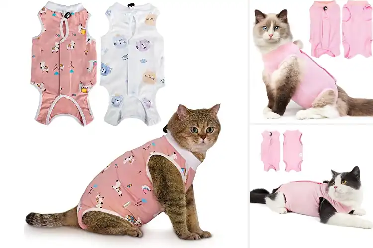 Detailed view of Best Cat Wound Protection Garment