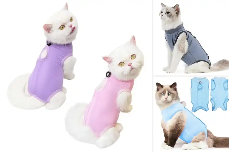 Detailed view of Best Comfortable Cat Recovery Garment