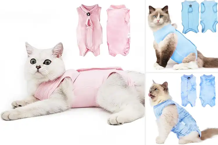 Detailed view of Best Comfortable Cat Recovery Shirt
