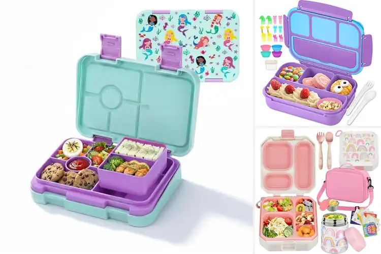 Detailed view of Best Compartment Lunch Boxes For Girls