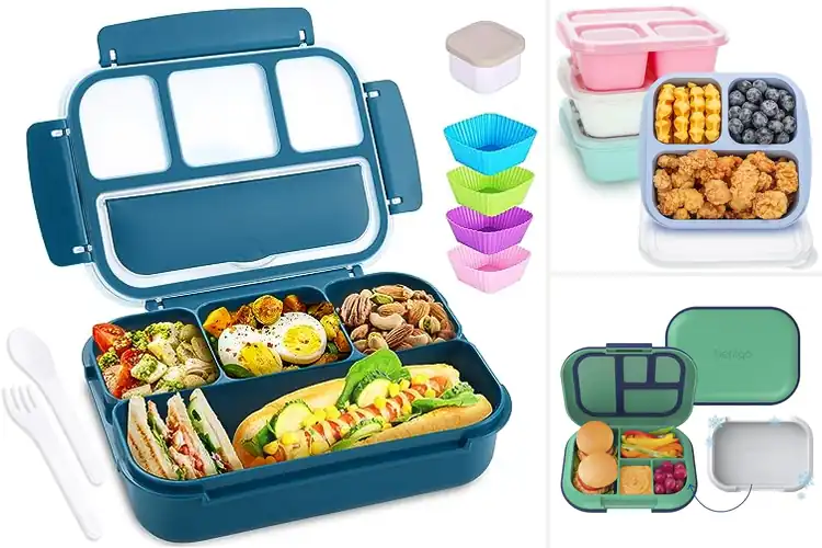 Detailed view of Best Compartment Lunch Boxes For Kids