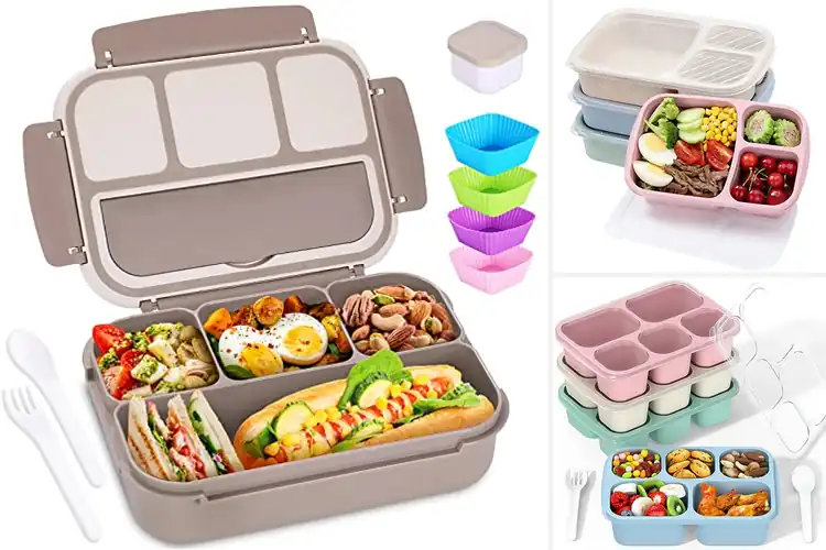 Detailed view of Best Dishwasher Safe Bento Boxes