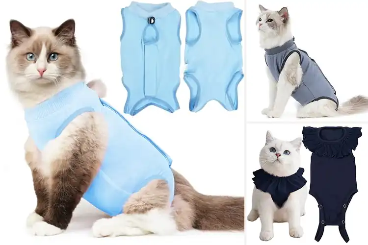 Detailed view of Best E-Collar Alternative Cat Shirt