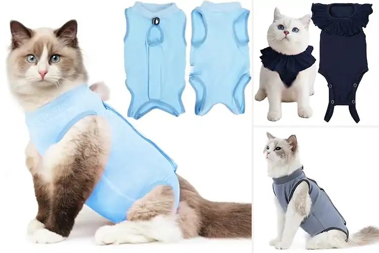 Detailed view of Best E-Collar Alternative Cat Shirts