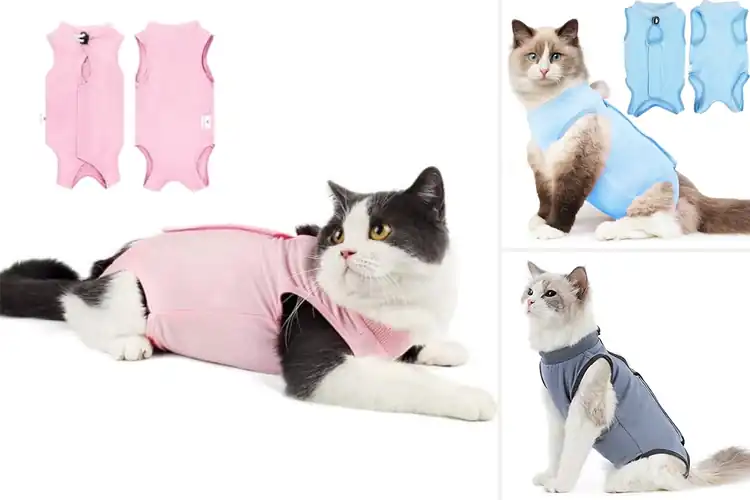 Detailed view of Best E-Collar Alternative Cat Suits